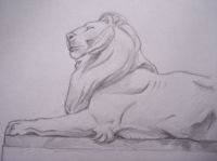 The Library Lion